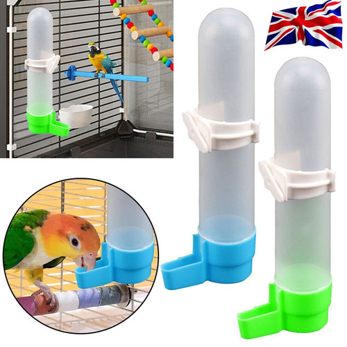 Bird water feeder - bird,
