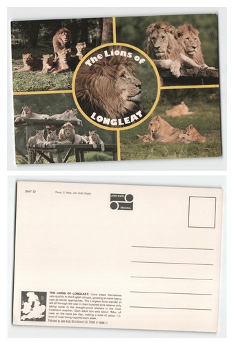 Postcard longleat safari - longleat,