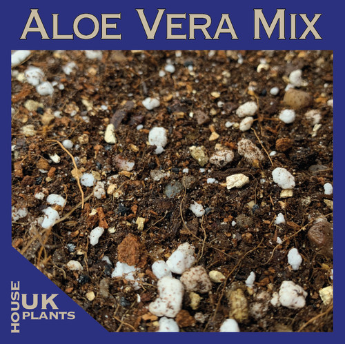 Aloe vera soil mix pest - vera, (pest-free