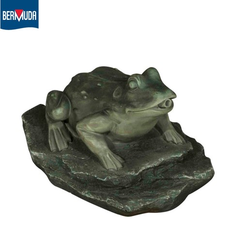 Bermuda pond spitter frog - pond,