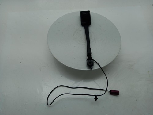 Ford focus seat - ford, belt