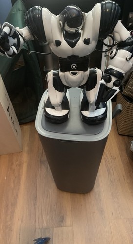 Roboraptor toy without remote - without,