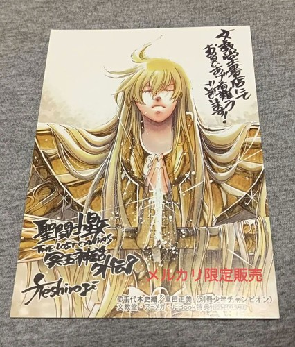 Saint seiya the lost canvas - lost,