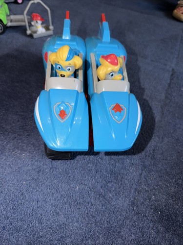 Paw patrol mighty pups twins - patrol,