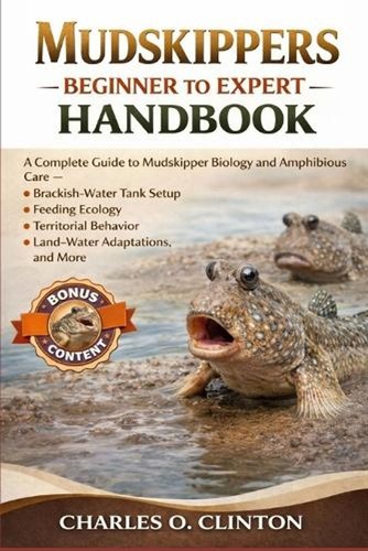 Mudskippers beginner expert - beginner, to