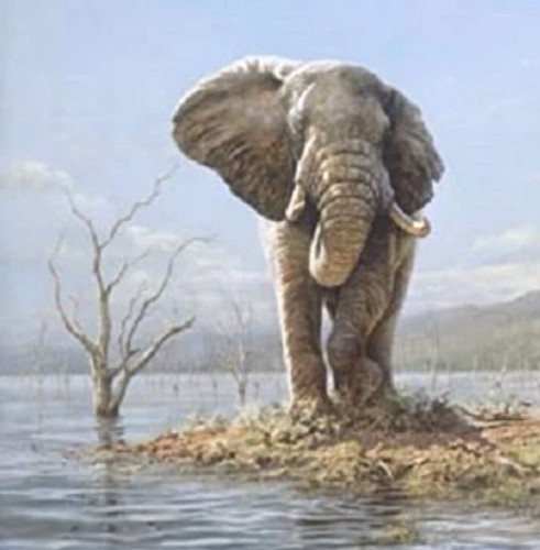 Guardian the lake tony - by,