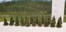 MOOSE CREEK TREES - Fir Pine