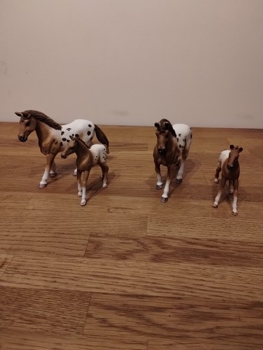 Schleich appaloosa bundle - schleich, in