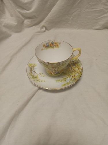 Shelley daffodil time teacup - daffodil,