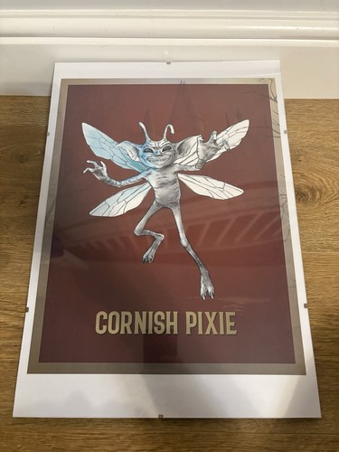 Harry potter cornish pixie - harry,