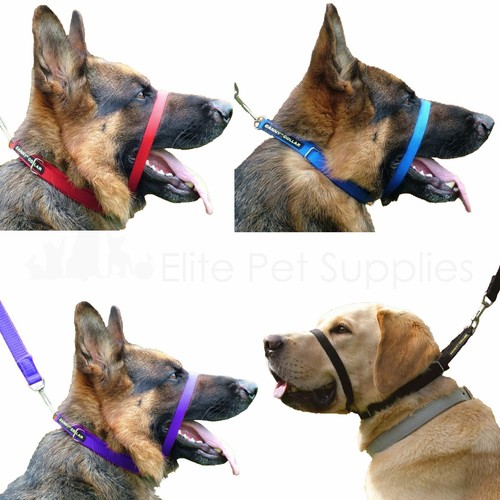 Canny collar dog training - collar,