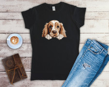 American Cocker Spaniel