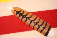 Native American hand painted