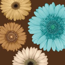 Daisy Quartet II by Lindsay
