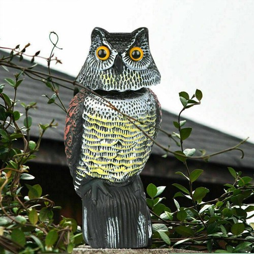 Realistic owl decoy - decoy, deterrent