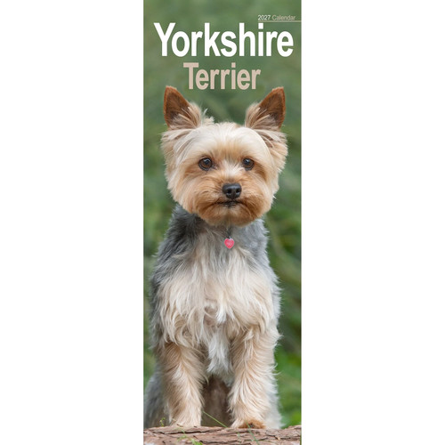 Yorkshire terrier slim 2027 - yorkshire,