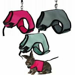 Sharples walk vest - walk, pet