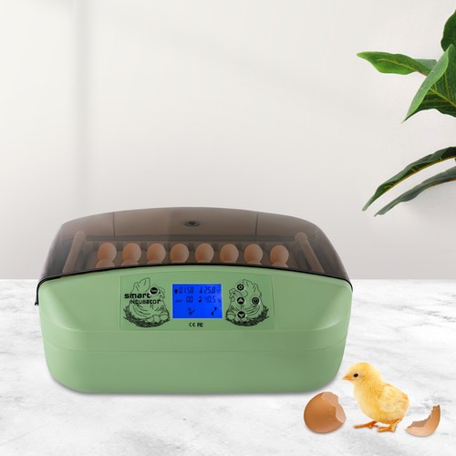 Eggs incubator temperature - 32,