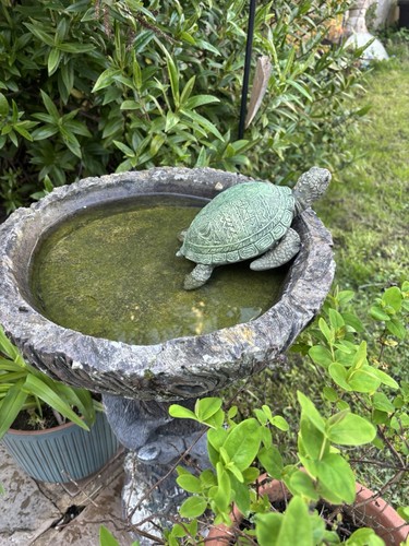 Handcrafted concrete turtle - concrete,