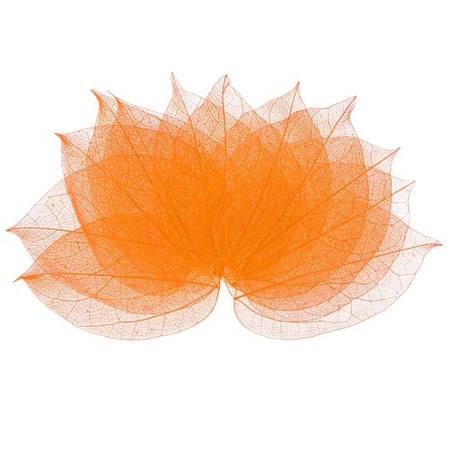 100 pack skeleton leaves - skeleton,