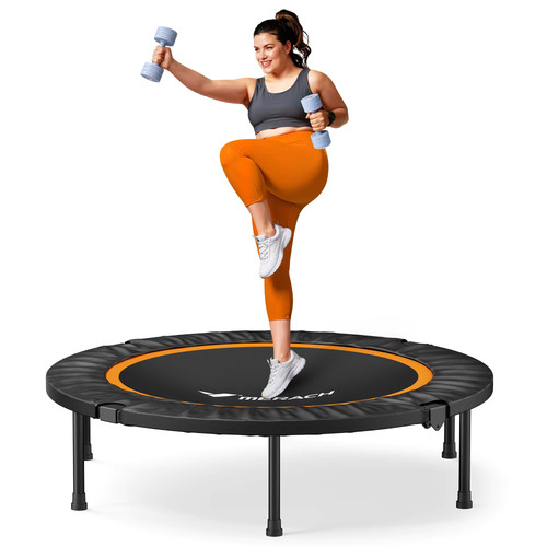 Adult workout fitness - adult,