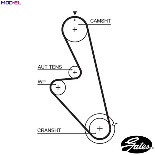 Timing belt 5449 for daewoo - timing,