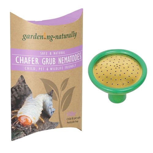 Chafer nematodes treats - nematodes, up