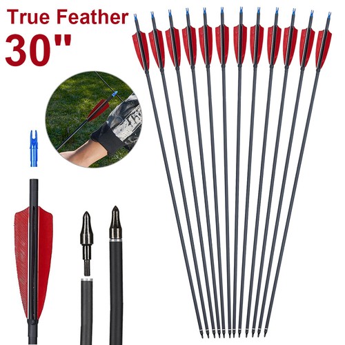 12pcs carbon arrows - carbon,