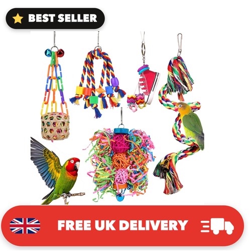 Bird toys for parakeet - toys,