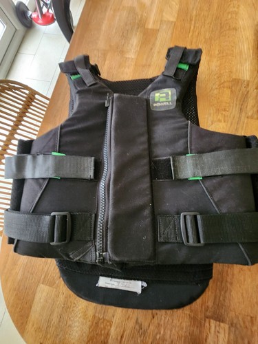 Rodney powell body - body, protector