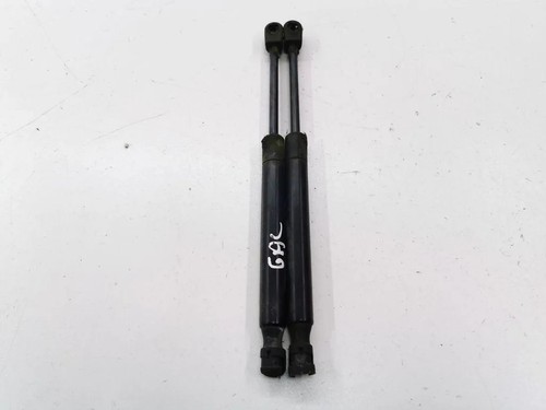 Chrysler 300 tailgate - chrysler, gas