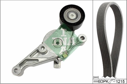 Ribbed belt set fits - set, vw