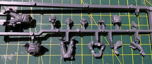 Tank commander astra - astra, militarum