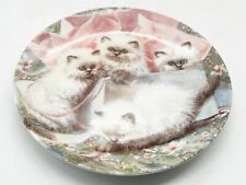 VINTAGE ALL WRAPPED UP HIMALAYANS CAT AMY BRACKENBURY DECORATIVE BRADEX PLATE