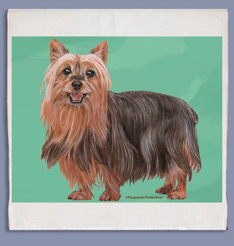 Silky terrier dish towel - terrier,