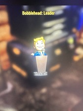 Fallout 76 items! 1000 Leader