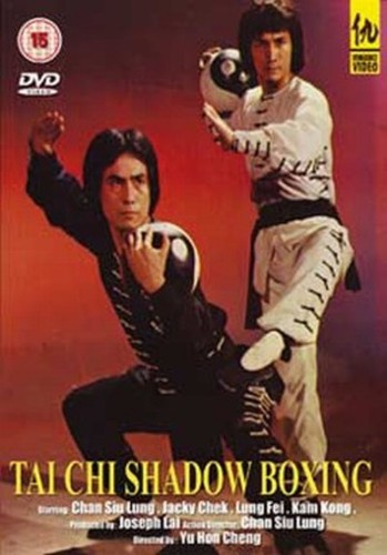 Tai chi shadow boxing - chi,