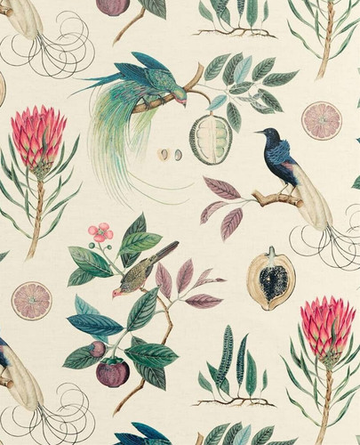 Sanderson curtain fabric - sanderson,