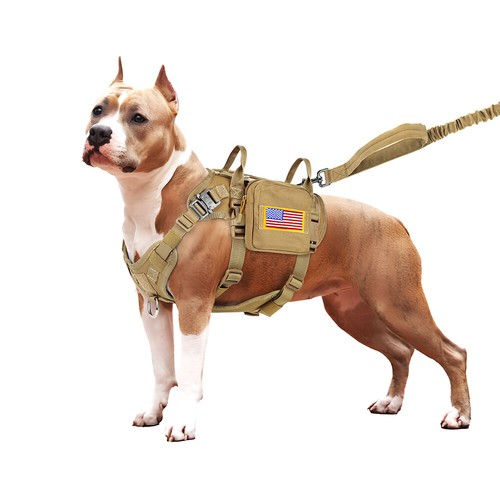 Pull tactical dog - no,