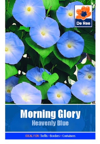 Ree flower plant seeds - plant,