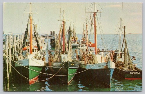 Postcard cape cod - postcard, fishing