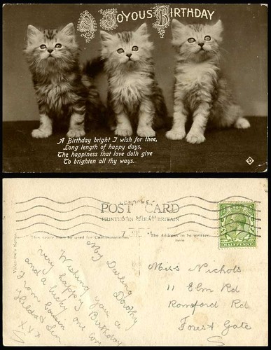 Cats kittens kgv 2d old - kgv, 1/2d