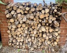 Cut Pine Logs Firewood for Open Fire Place or Wood Burner 0.6 m3