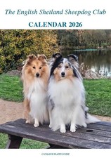 SHETLAND SHEEPDOG/SHELTIE CALENDAR 2026