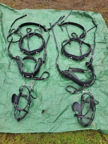 Zilco pairs driving - , harness