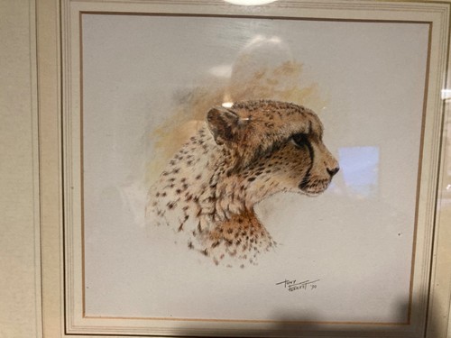 Tony forrest original - forrest,