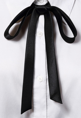 Kentucky bow tie - kentucky,