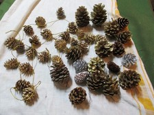 18  REAL PINE CONES + Pine
