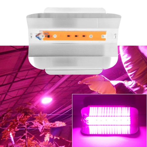 Small shedplant 30w indoor - (1),