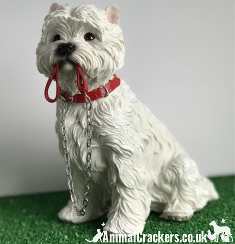Large west highland terrier - west,